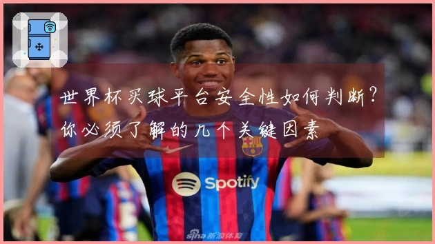 世界杯买球平台安全性如何判断？你必须了解的几个关键因素