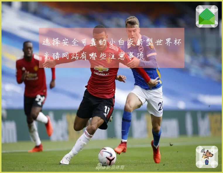 选择安全可靠的小白友好型世界杯竞猜网站有哪些注意事项