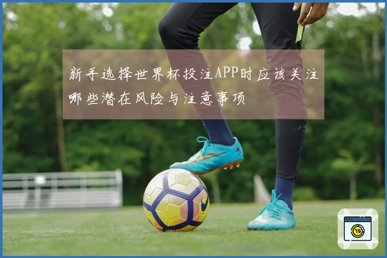 新手选择世界杯投注APP时应该关注哪些潜在风险与注意事项