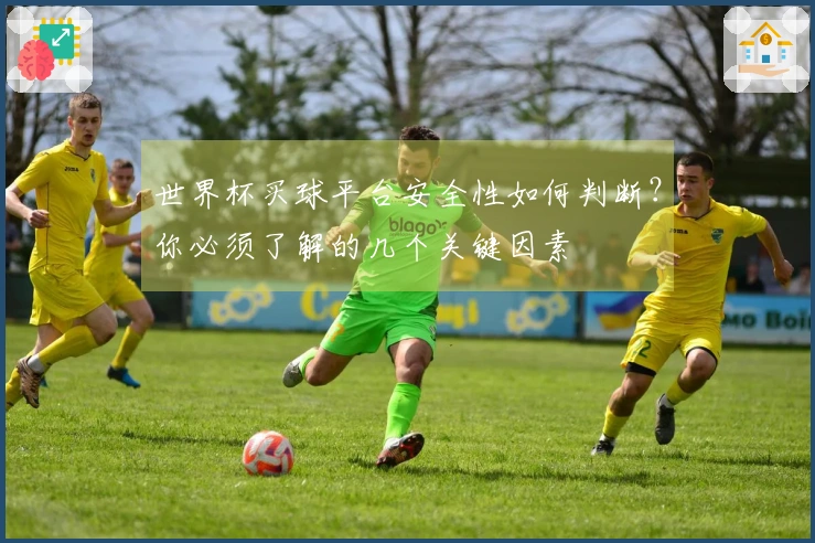 世界杯买球平台安全性如何判断？你必须了解的几个关键因素