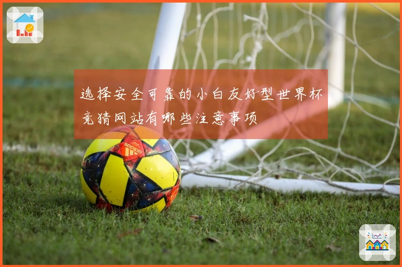 选择安全可靠的小白友好型世界杯竞猜网站有哪些注意事项